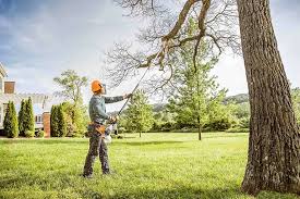 How Our Tree Care Process Works  in  Baldwyn, MS