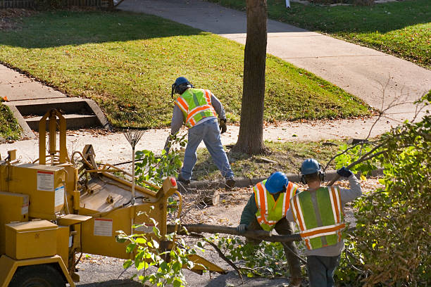 Mulching Services in Baldwyn, MS